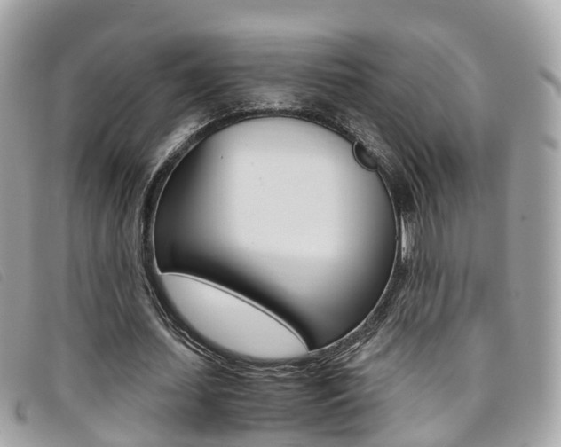 X0000095910627200801110828