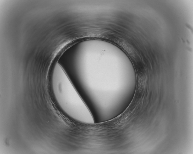 X0000095910628200801110828