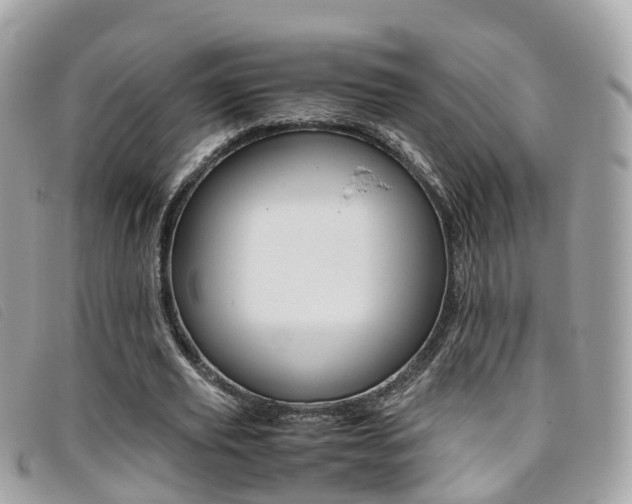 X0000095910629200801110828