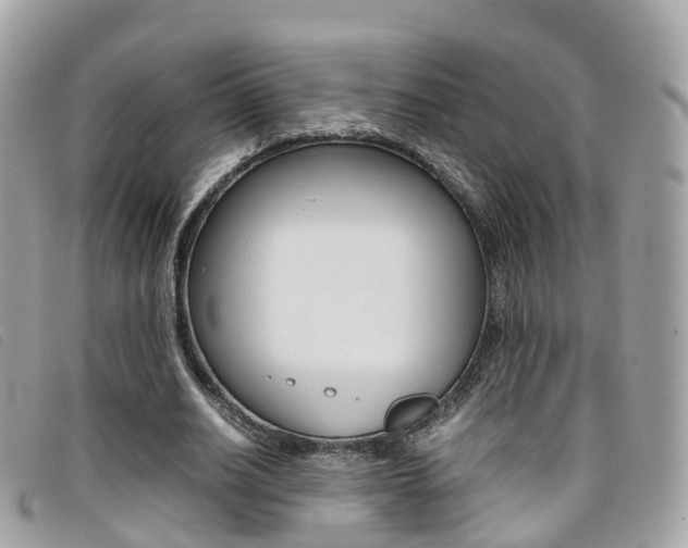 X0000095910630200801110828