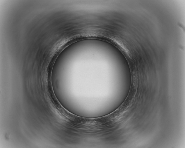 X0000095910631200801110828