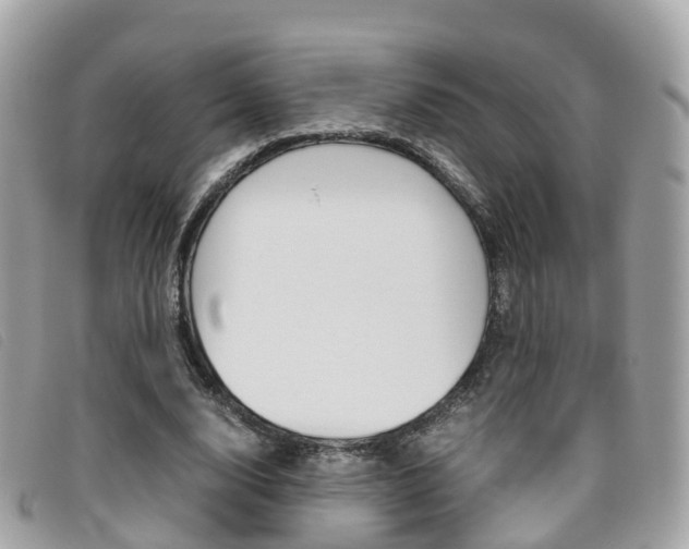 X0000095910632200801110828