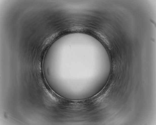 X0000095910633200801110828