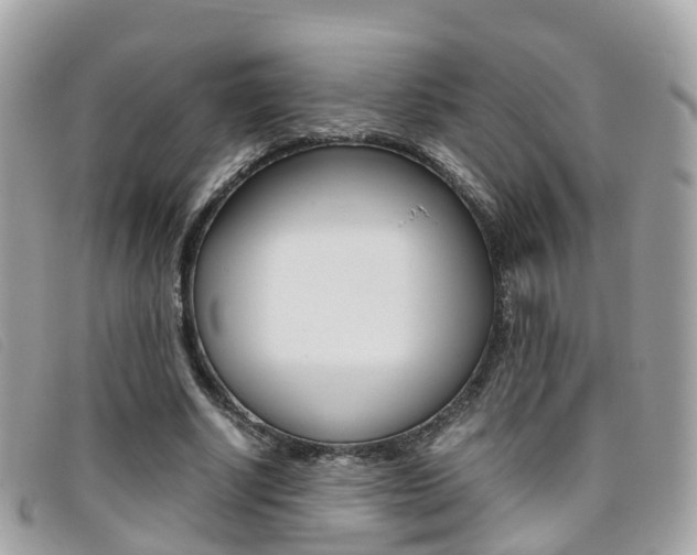 X0000095910634200801110828