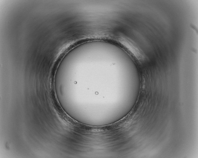 X0000095910636200801110828