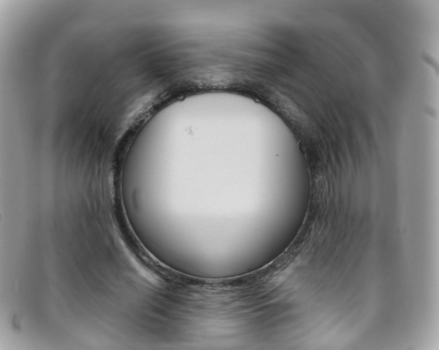 X0000095910638200801110828