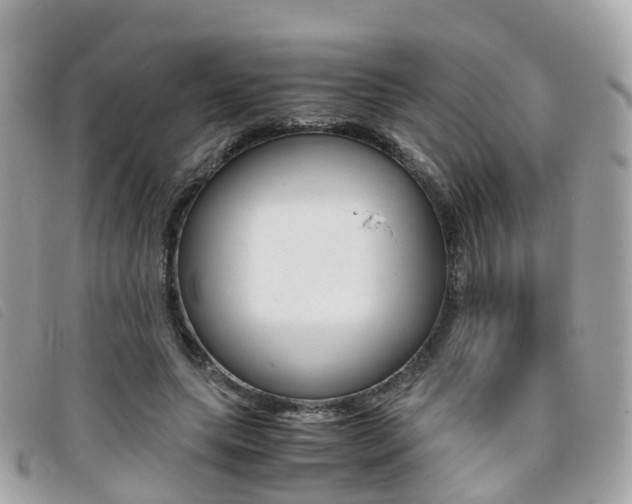 X0000095910639200801110828