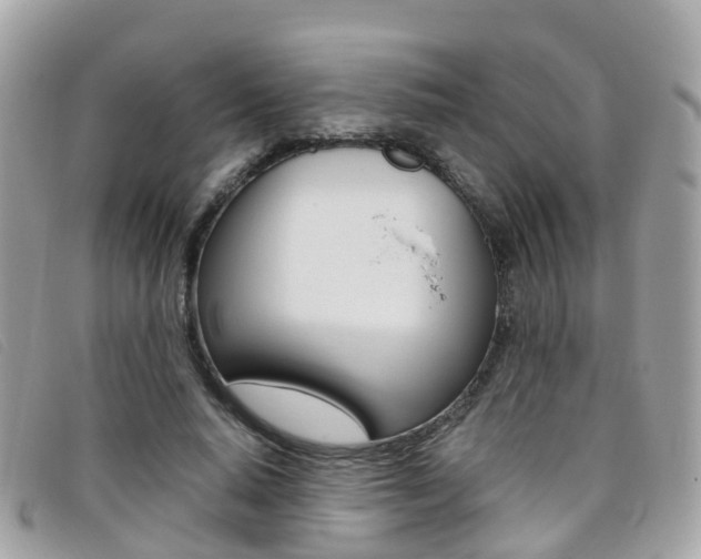 X0000095910640200801110828