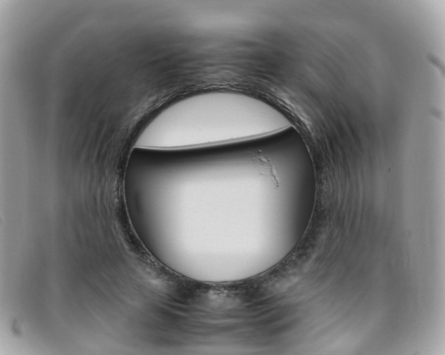X0000095910641200801110828
