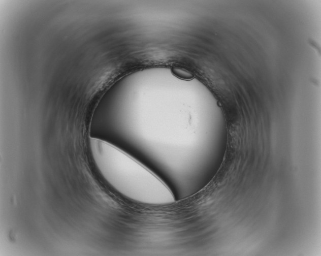 X0000095910642200801110828