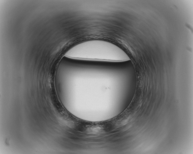 X0000095910643200801110828