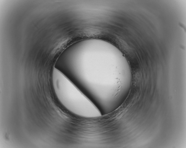 X0000095910644200801110828