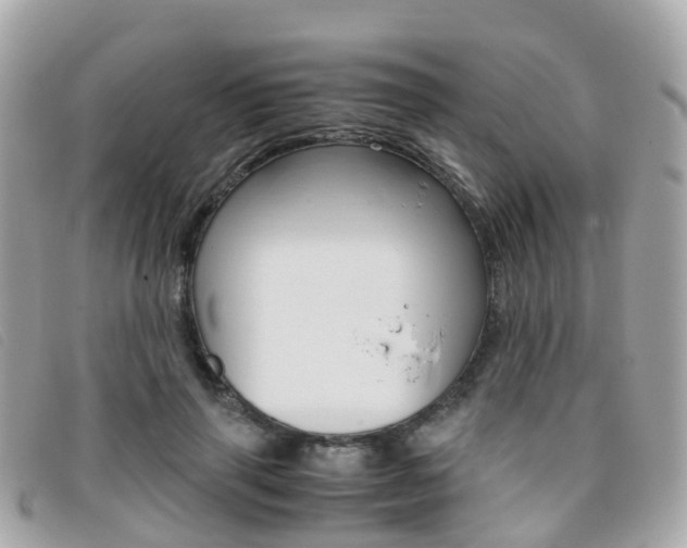 X0000095910645200801110828