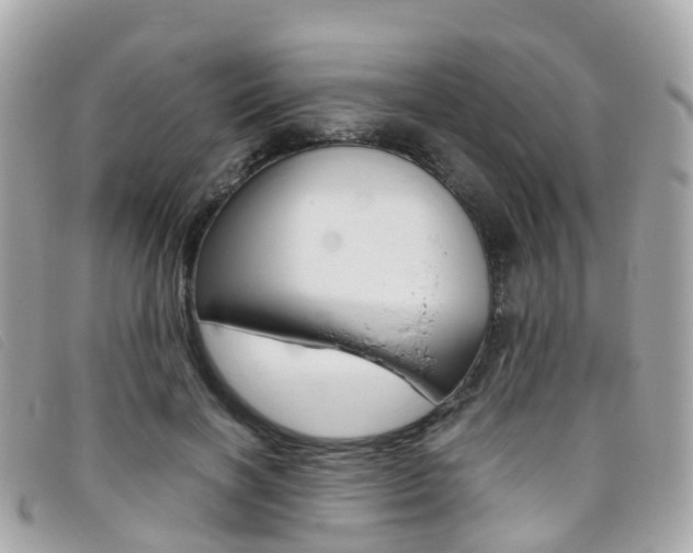 X0000095910646200801110828