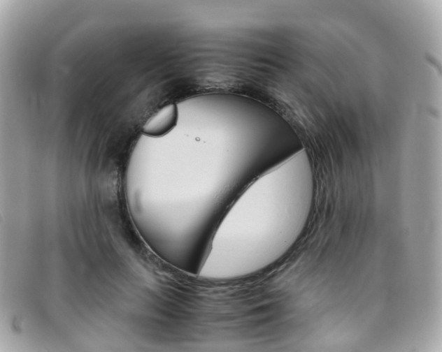 X0000095910647200801110828