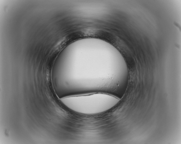 X0000095910648200801110828