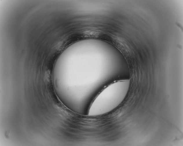 X0000095910649200801110828