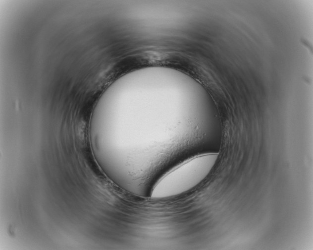 X0000095910650200801110828