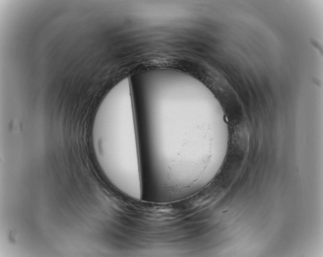 X0000095910651200801110828
