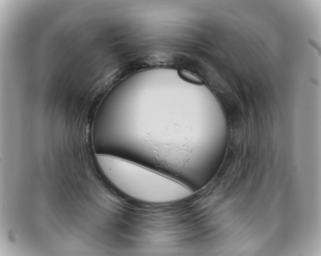 X0000095910652200801110828