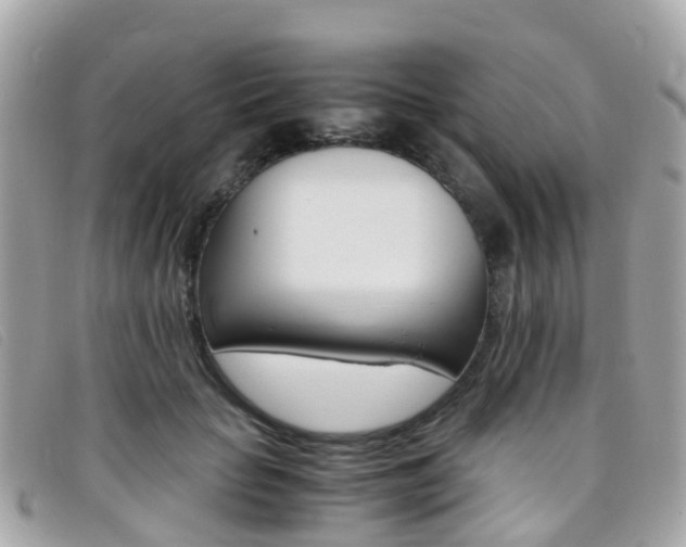 X0000095910653200801110828