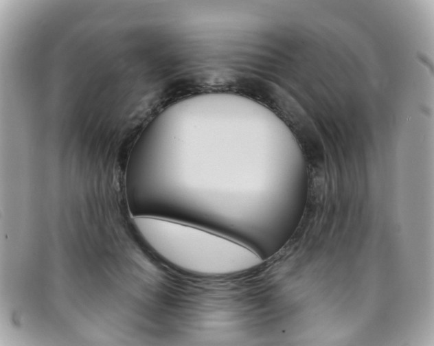 X0000095910654200801110828