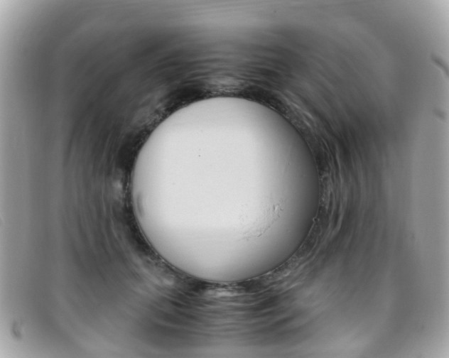 X0000095910655200801110828