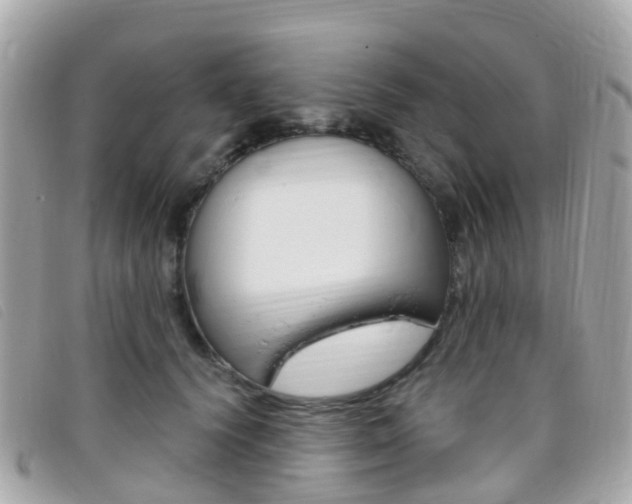X0000095910656200801110828