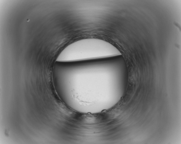 X0000095910658200801110828