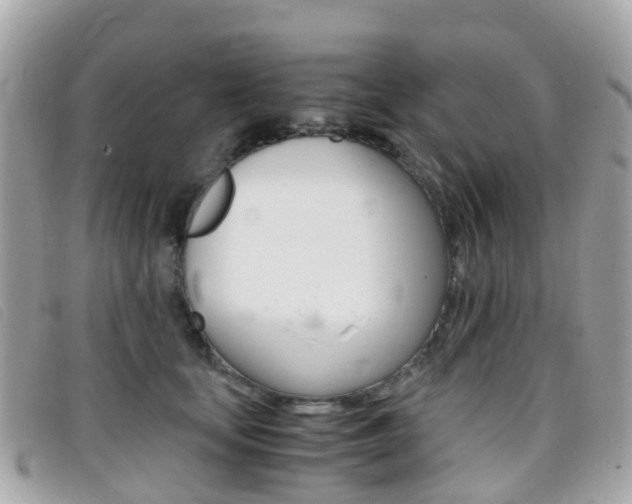 X0000095910659200801110828
