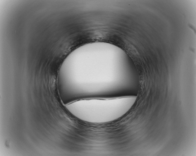 X0000095910660200801110828