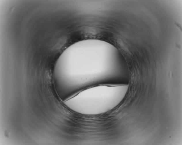 X0000095910661200801110828