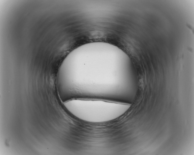 X0000095910662200801110828