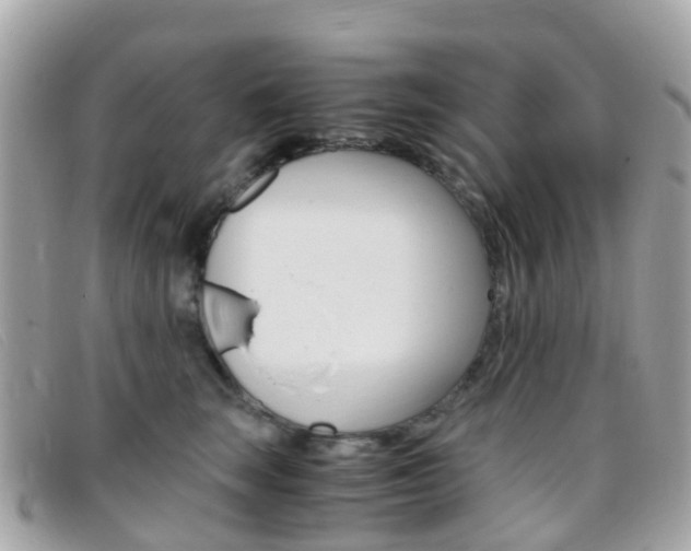 X0000095910663200801110829