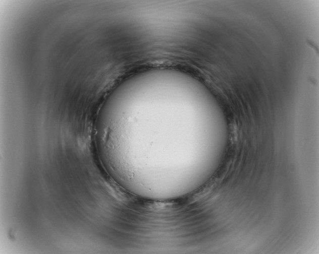 X0000095910664200801110829