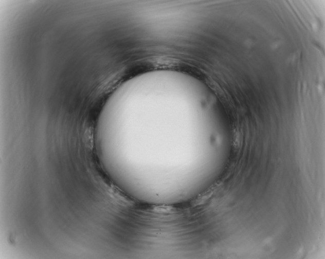 X0000095910666200801110829
