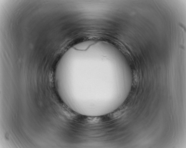 X0000095910667200801110829