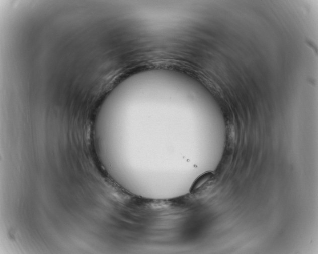 X0000095910668200801110829