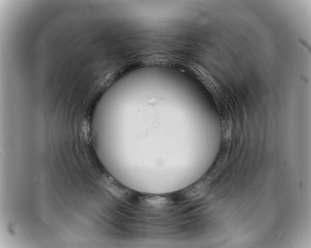 X0000095910669200801110829