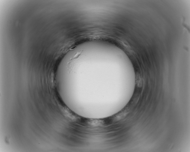 X0000095910670200801110829