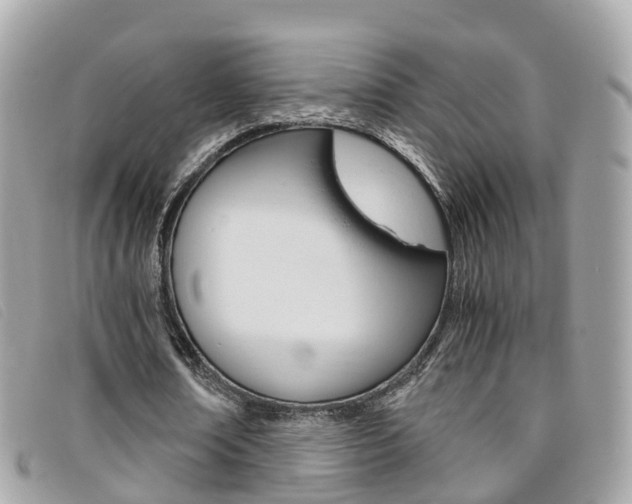 X0000095910674200801110828
