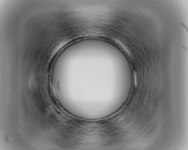 X0000095910675200801110828