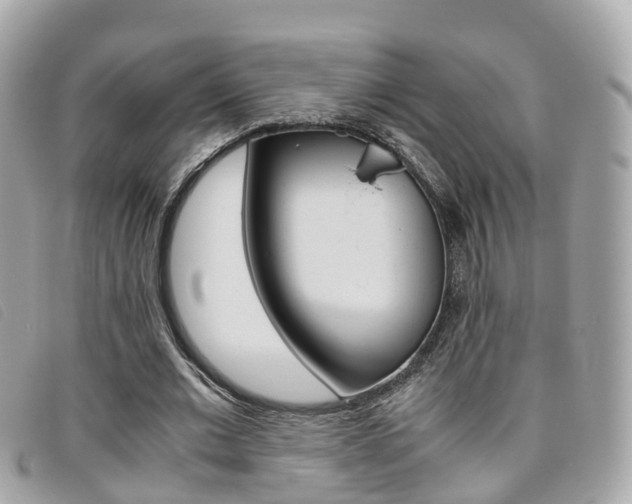 X0000095910677200801110828