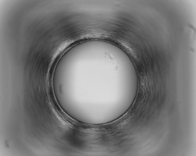 X0000095910678200801110828