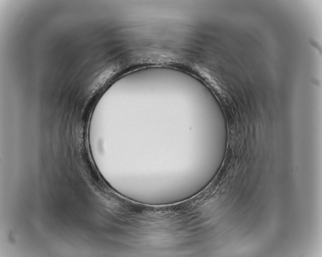 X0000095910679200801110828