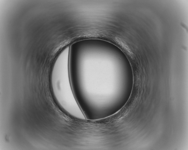 X0000095910681200801110828