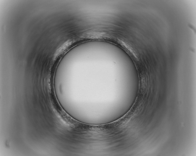 X0000095910682200801110828