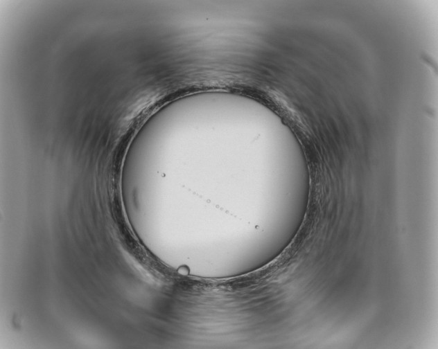 X0000095910683200801110828