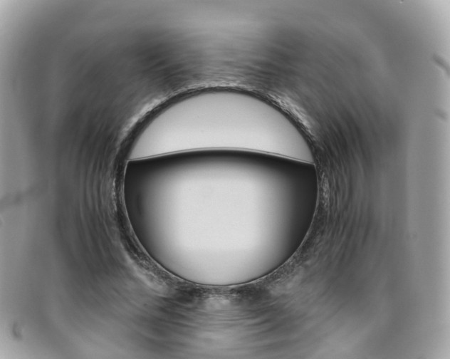 X0000095910684200801110828