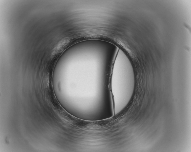 X0000095910685200801110828